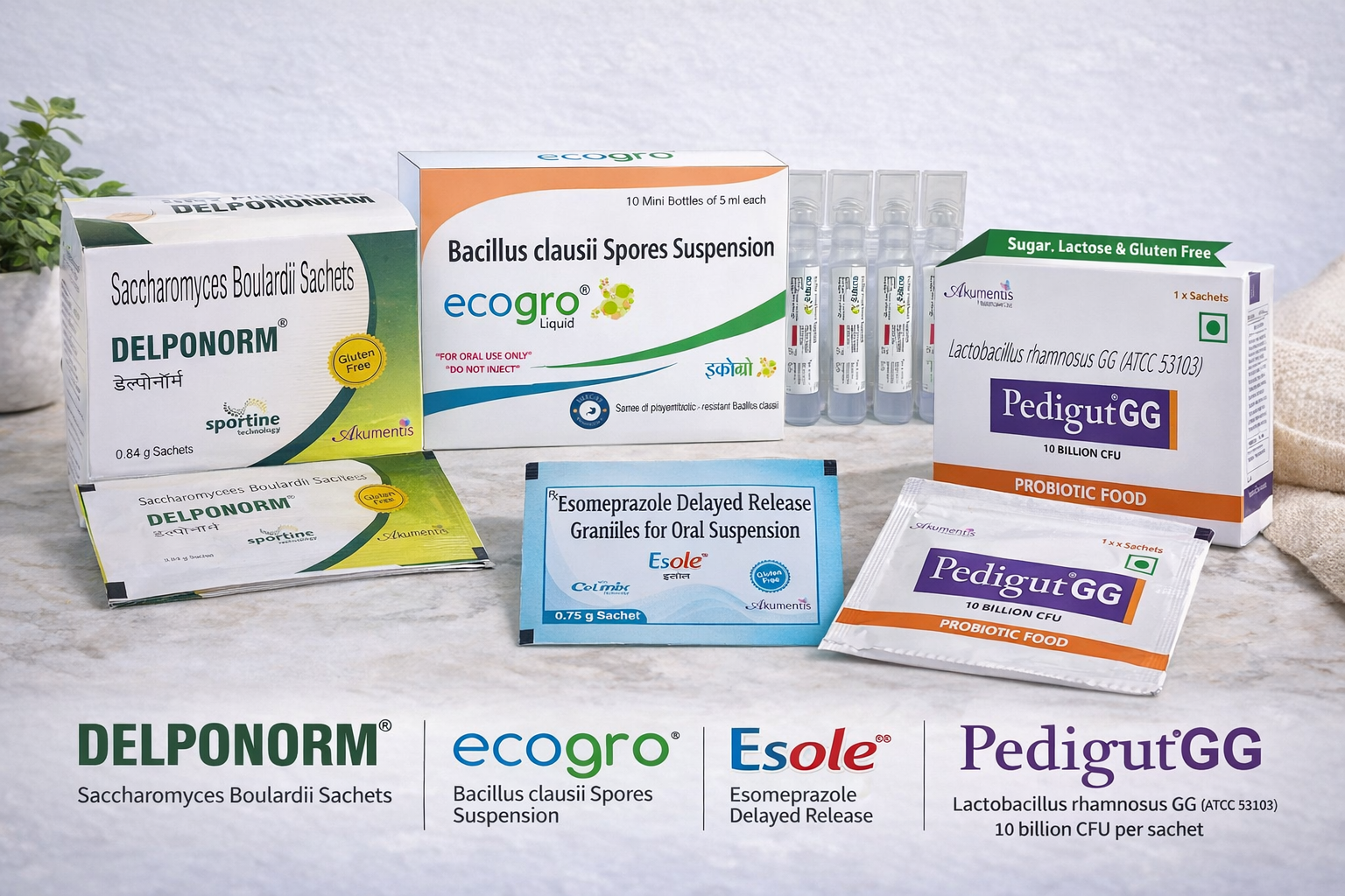 Gastro Care & Probiotics