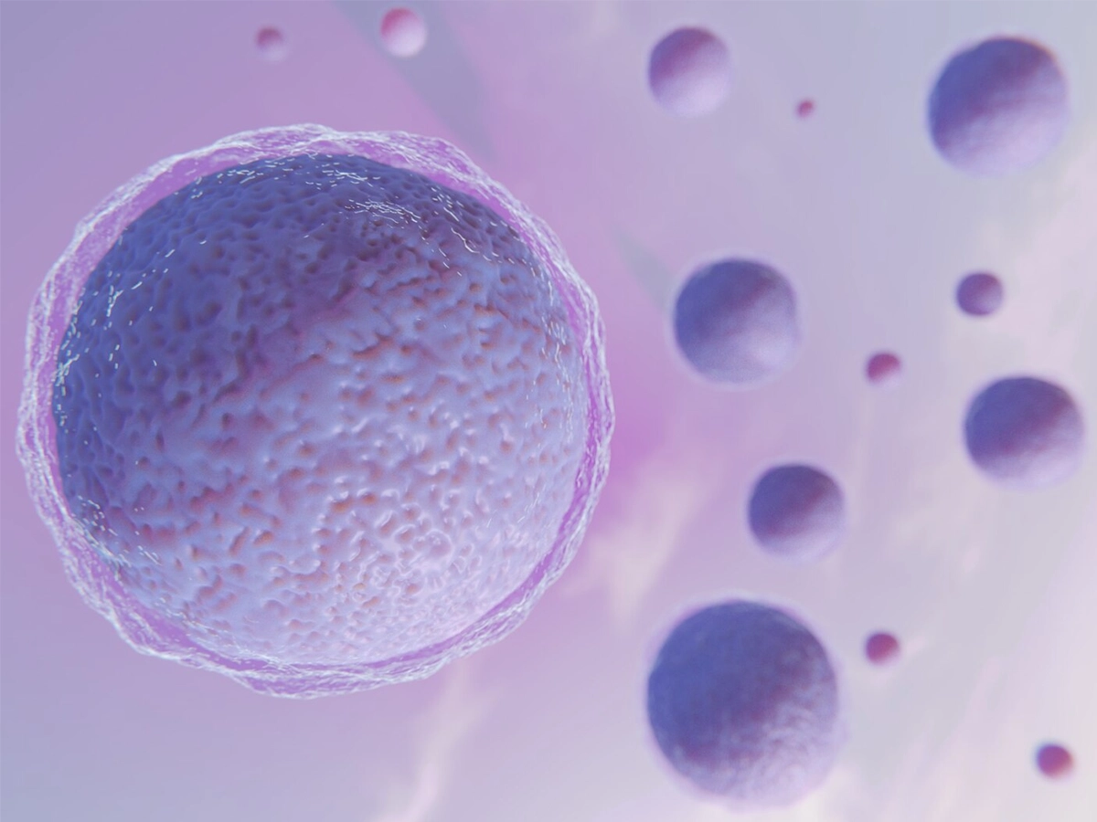 IVF innovation India