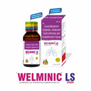 welminic ls